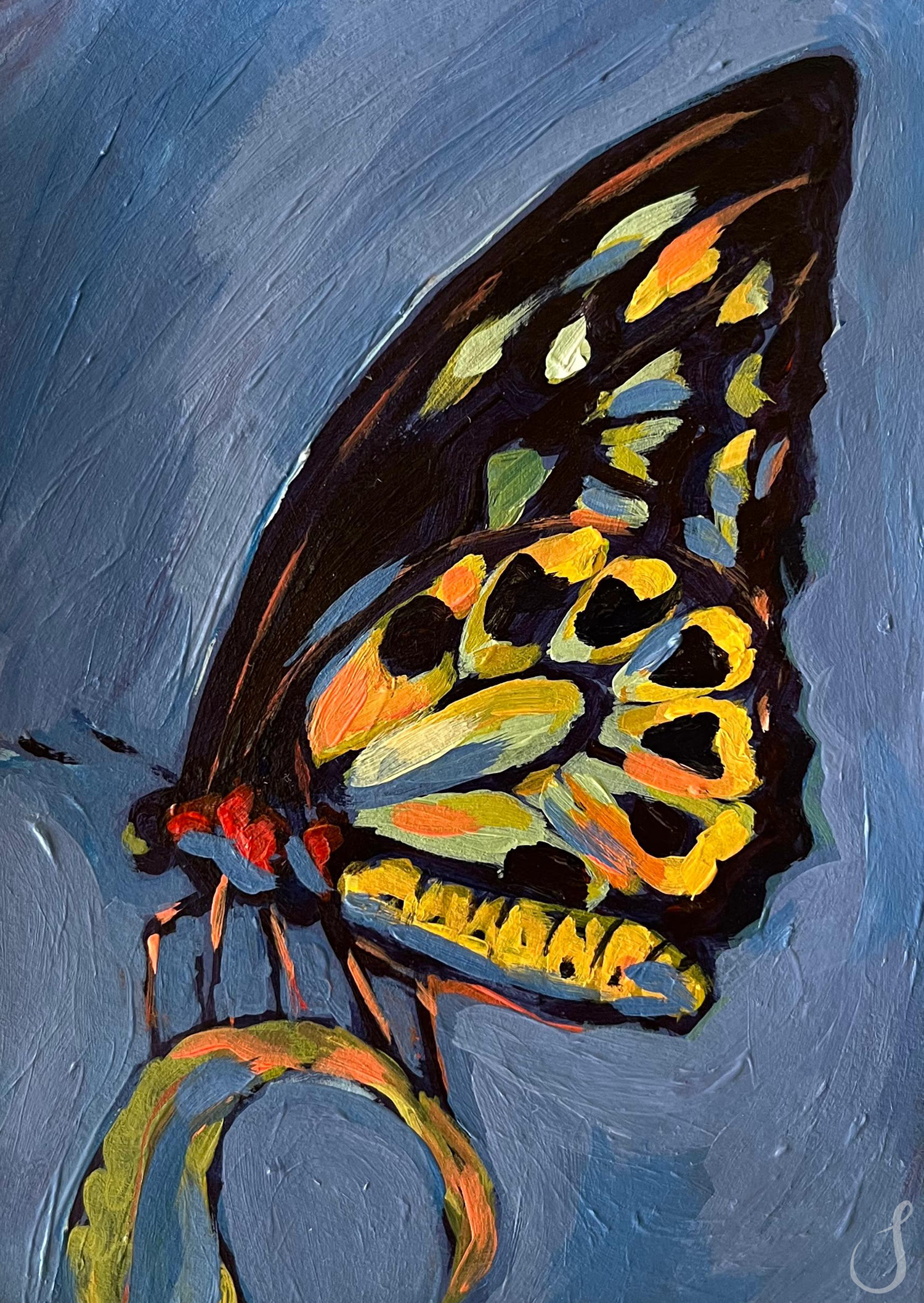 mosaic-029